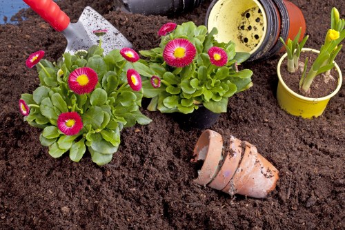 A close-up view of a garden bed showing freshly turned dark brown soil with a small, broken terracotta flowerpot partially buried in the ground. To the left, there are two lush green plants with vibrant pink and yellow blossoms, possibly primroses, in black pots. To the right, a yellow plastic pot contains young green shoots, and a small garden trowel with a red handle is placed at the edge of the soil, indicating recent planting activity. The scene is outdoors, in a well-maintained garden area, with natural lighting suggesting a bright, possibly overcast day. This image exemplifies typical gardening activities in a residential garden, reflecting landscaping and planting work that Gardening Services Temple might undertake in the local area near Temple in London or the surrounding district, highlighting professional garden maintenance and planting services.