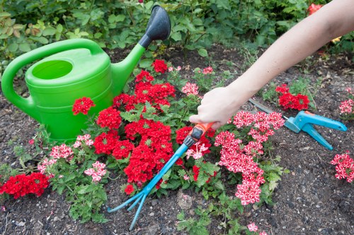 Close-up of a gardener pointing out an issue in a flower bed