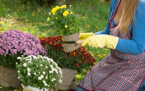 Technician handling labeled garden chemicals with gloves