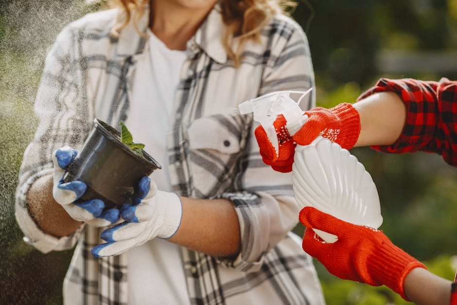 A person wearing a plaid shirt, white gloves, and holding a small black plant pot filled with soil and a young green plant, is engaged in garden maintenance. Another individual, wearing red gloves and